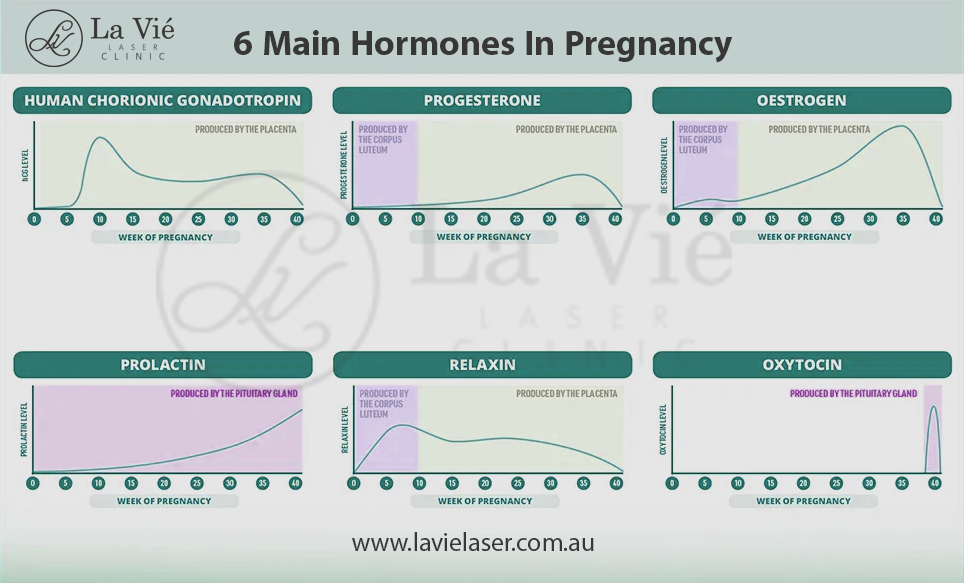 6 main hormones in pregnancy infography