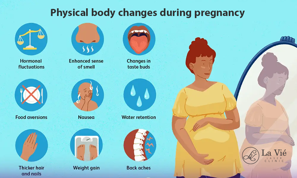 Physical body changes during pregnancy